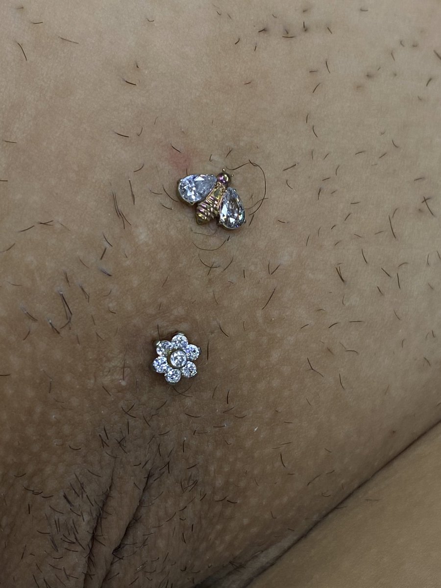 ABpiercer's tweet photo. •Começando 2024 deixando ppk brilhuda e meiga 🫶🏽
•Perfuração já cicatrizada a anos, apenas atualizamos os topinhos ;)
#piercinggenital #ppk
#piercingintimo #piercingrj https://t.co/b3JulGtdMG