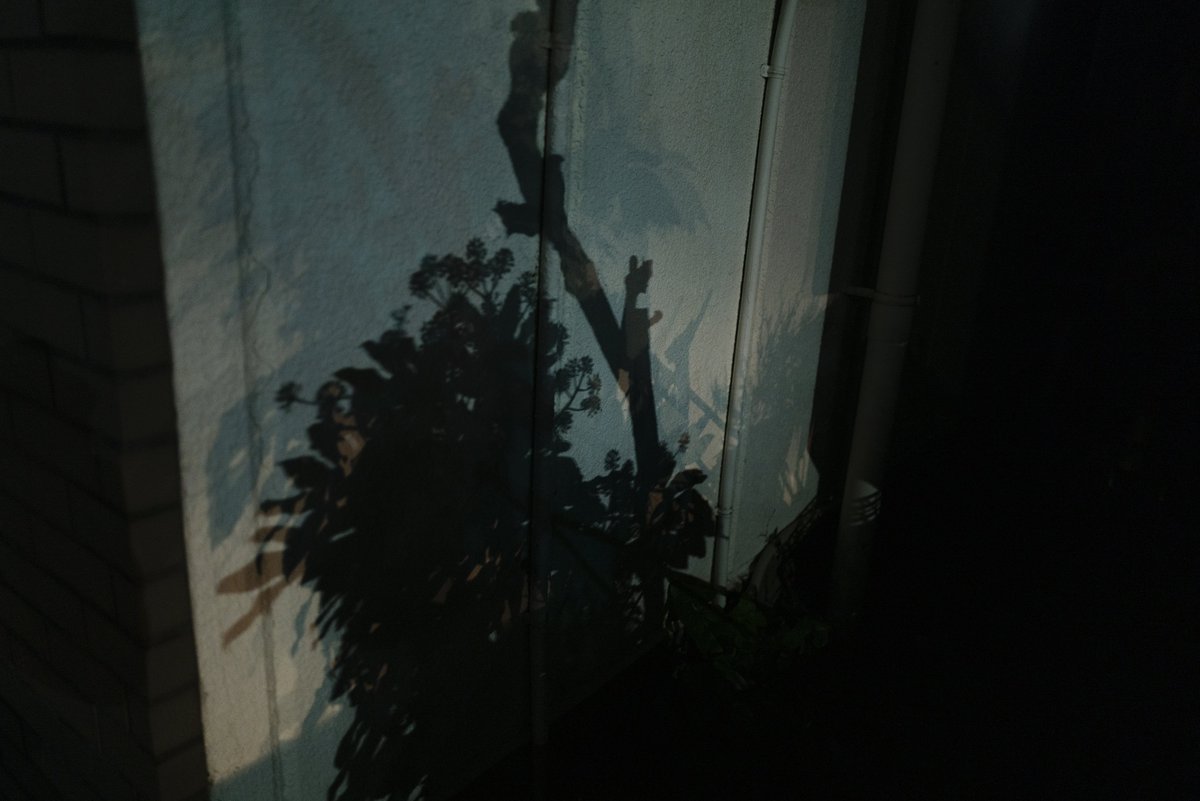 yk_1992_'s tweet photo. 【毎日スナップ Day.511】
Night Snap.
「毎晩何を撮っているの?」と聞かれて、上手く答えられなかった。
#毎日スナップ
#streetphotography
#streetevolution https://t.co/xXmOBuL9kQ