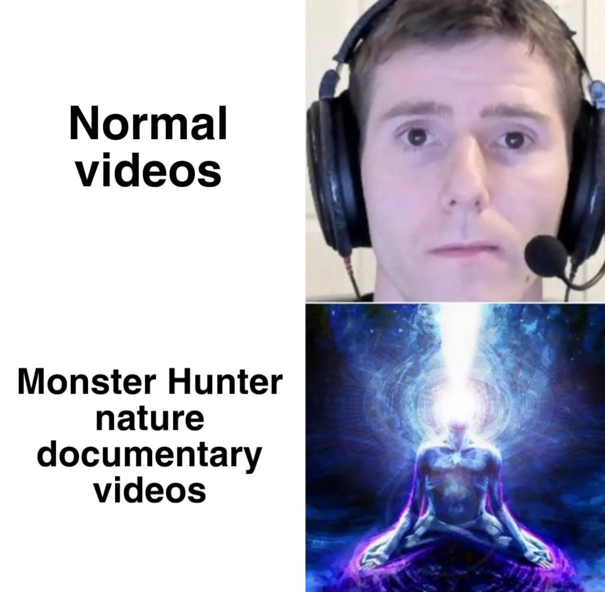 QuirklessStoner's tweet photo. I’ve been watching a lot of monster hunter ecology vids on YT lately and we don’t give those channels enough credit, specifically been watching a lot of Glyde’s World nature documentaries 
(I put the link below) https://t.co/12Mi004JdN