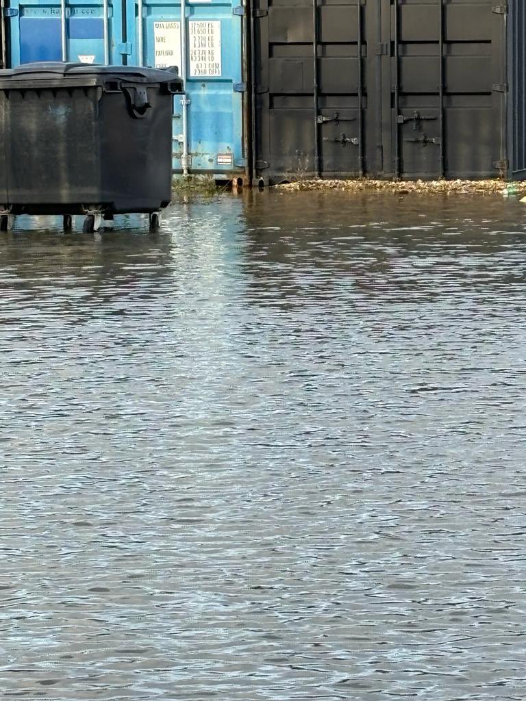 Raw Mentoring tweet media