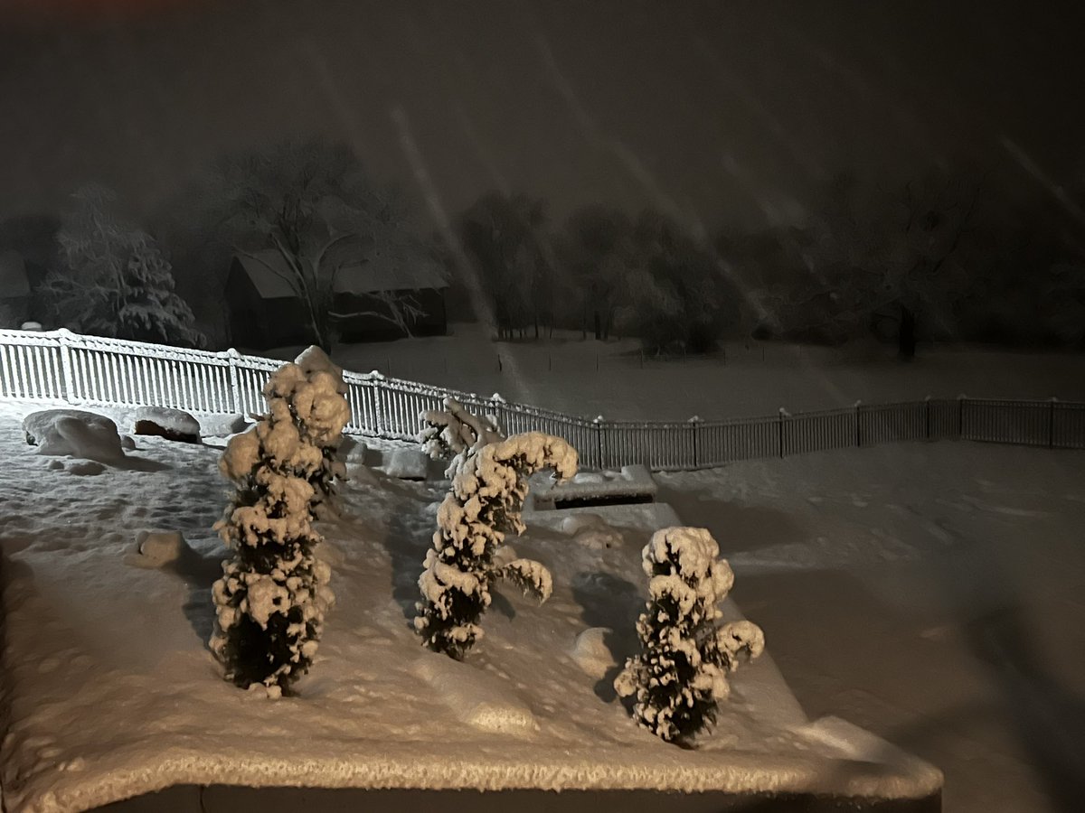 Michele Markey tweet media