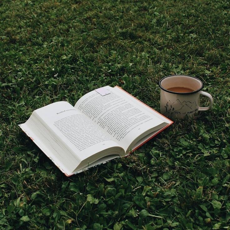 3l3ctr1c0n's tweet photo. — Livros lidos em 2024
                              a thread 𓂃ᥫ᭡ https://t.co/ESqWqH7vZx