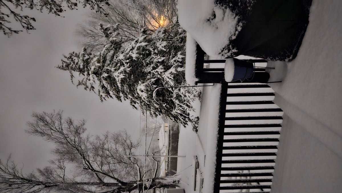 511PapaBert's tweet photo. @lnanderson here is a look from our deck in Maryville. https://t.co/ZUyJDV1BPM