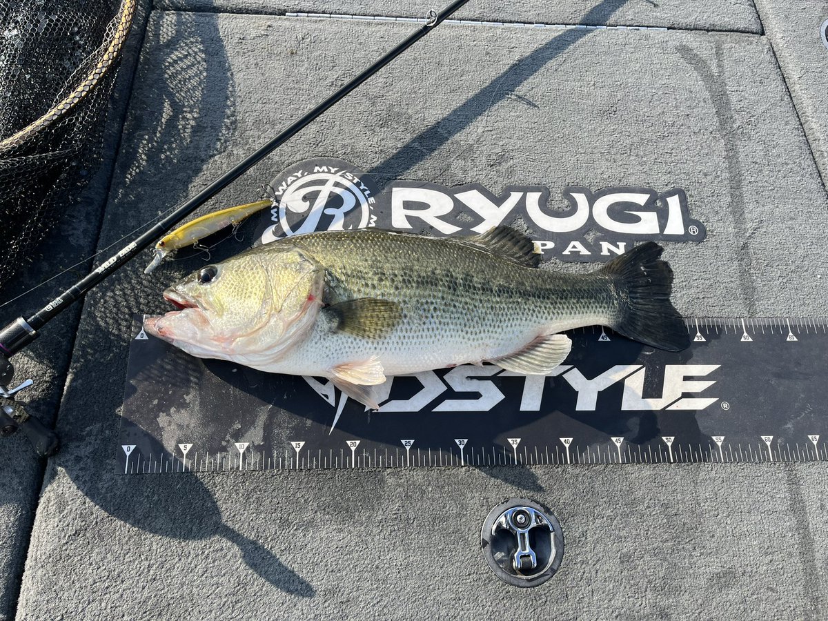 hanai_junpei's tweet photo. 2024年開幕🌅

春夏秋冬いかなる時も濁ったエリアはやるべし

水温8度 水深1.5m未満でも濁りさえあればな感じです✋ https://t.co/ilhWkul0iu
