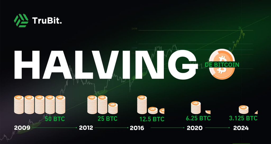 btchalvin2024's tweet photo. Welcome to a #HLVN24 token inspired by the 2024 halving, we will join the trend and be the token with the greatest benefits and results for our HOLDERS!

Immediate updates+Trending in Dexview and DexTools, Quick listing in CMC and CG. Certik very soon! https://t.co/uCuhQPUZ5j