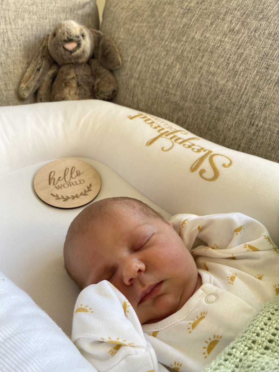 chlo.☼ tweet media