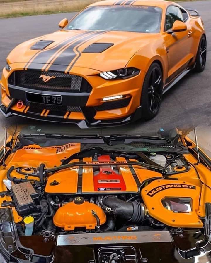 Mopar_Logic's tweet photo. Ford Mustang Gt. Yes or no?? https://t.co/QiICReelTX