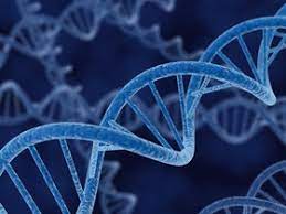Genetics_genome's tweet photo. Join us at International Conference on #GENETICS & #GENOMERESEARCH December 09-11, 2024, #Zurich, Switzerland w: https://t.co/bGjJpzjsUx #GeneticsConference #GenomicsMeetings #GeneticsConference2024 #biotechnology #medicalconference #healthcareconference #mindspaceconference https://t.co/tum2xINZ5d