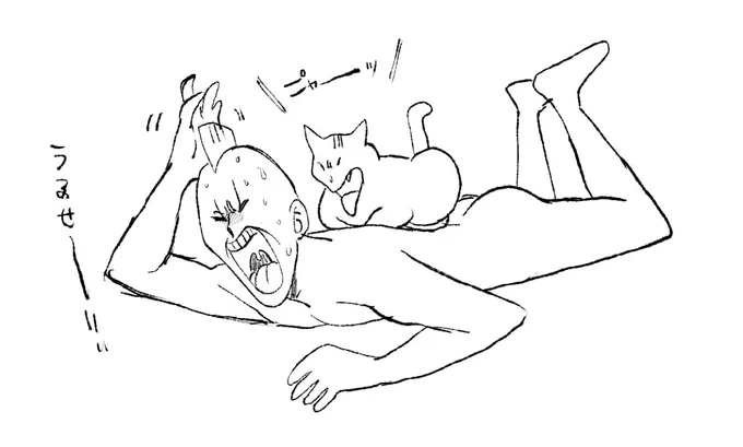 撫でれない所に居座って甘えてきます 