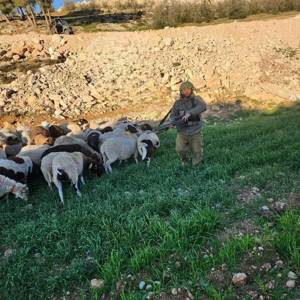 CiiseCartan's tweet photo. As'samou - Hebron: Israeli army fires towards farmers, stealing herds, and arresting two farmers.
#StopIsraelBarbarism
#SaveInnocentPalestinePeople
#FreeOccupation #ApartheidIsrael #ZionismIsNazism
#israelterroriststate #FreePalenstine https://t.co/uXlKkRqxGT