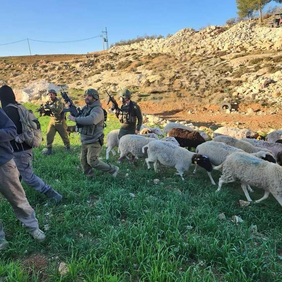 CiiseCartan's tweet photo. As'samou - Hebron: Israeli army fires towards farmers, stealing herds, and arresting two farmers.
#StopIsraelBarbarism
#SaveInnocentPalestinePeople
#FreeOccupation #ApartheidIsrael #ZionismIsNazism
#israelterroriststate #FreePalenstine https://t.co/uXlKkRqxGT