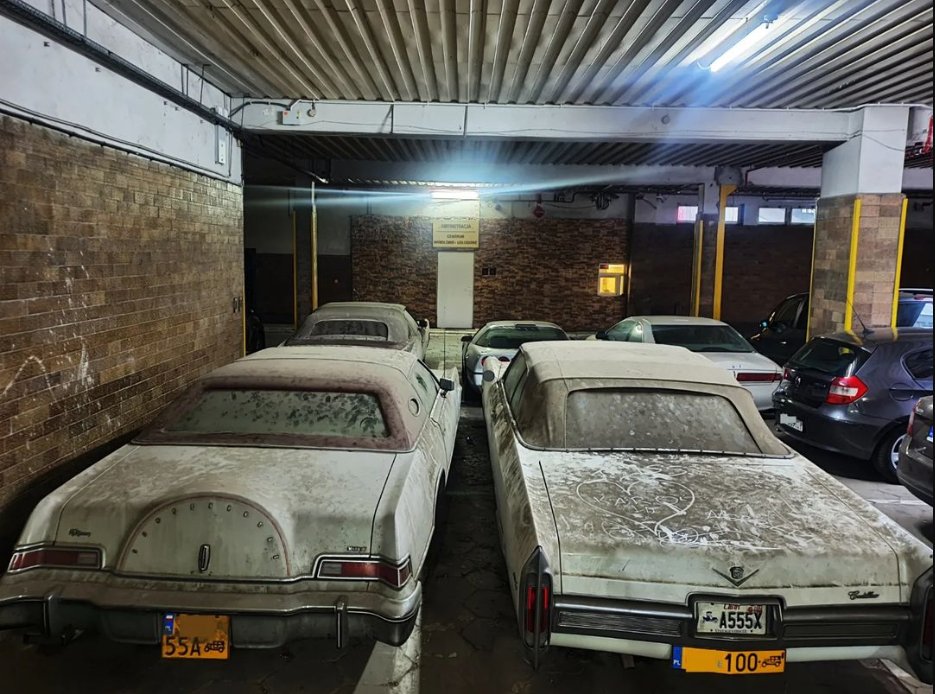 LincolnNorthway's tweet photo. Happy #TailgateTuesday! We must find these and save them!
https://t.co/ztDWDbprjg
.
.
.
.
.
#burlont #hamon #brantford #lincolnnavigator #lincoln #oakville #halton #luxurycars #lincolnca #lincolntowncar #lincolncars #lincolncontinental #lincolnmkz https://t.co/1DZ3HJhZS3