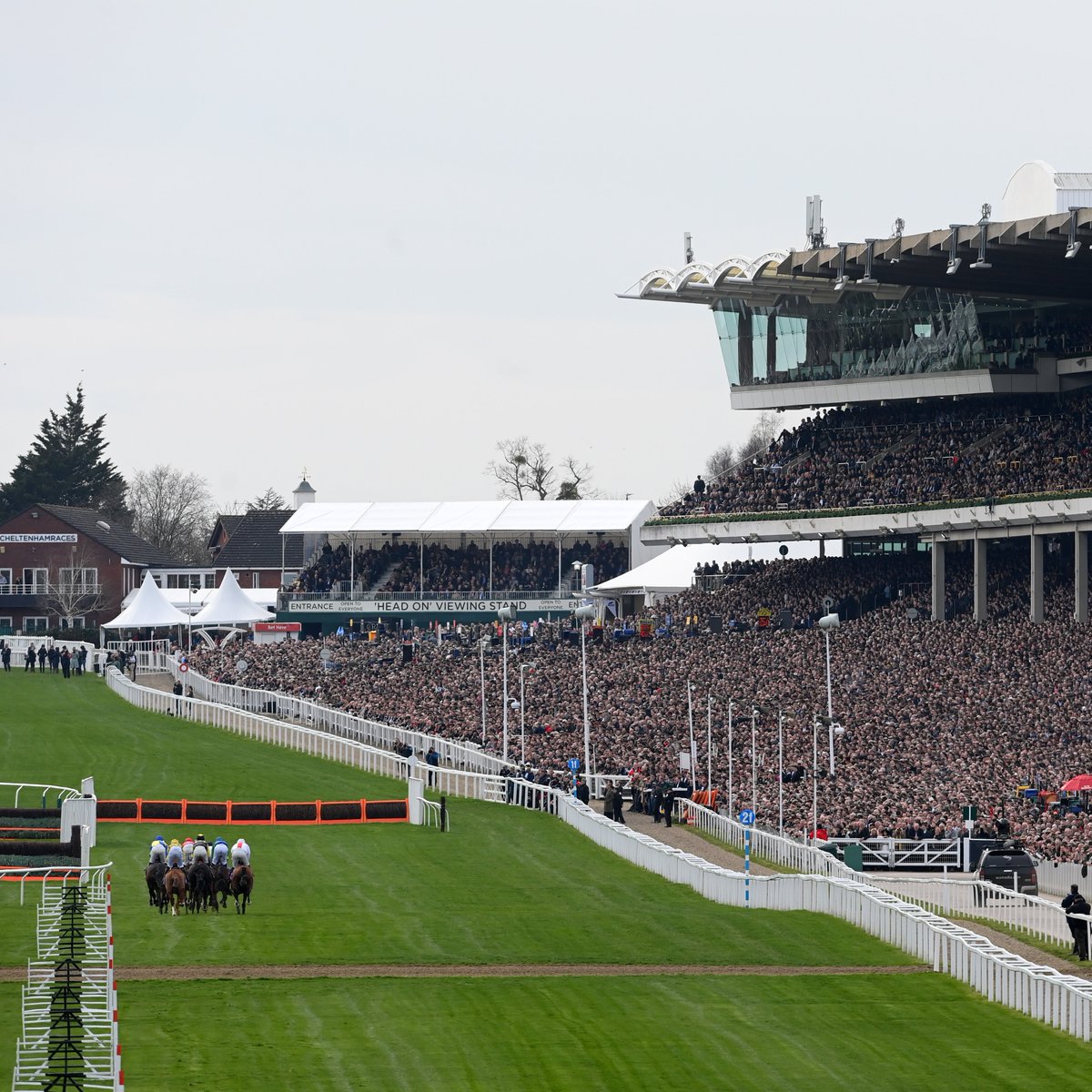 Nine weeks until Cheltenham. Nine weeks until Cheltenham. Nine weeks until Cheltenham. Nine weeks until Cheltenham. Nine weeks until Cheltenham. Nine weeks until Cheltenham. Nine weeks until Cheltenham. Nine weeks until Cheltenham. Nine weeks until Cheltenham. 🗣️ The 𝙧𝙤𝙖𝙧 is…