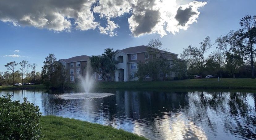 LissKB's tweet photo. Florida you did me well. 
Bitter sweet.
I am freed from bondage ✝️ https://t.co/blFV4ICkZP