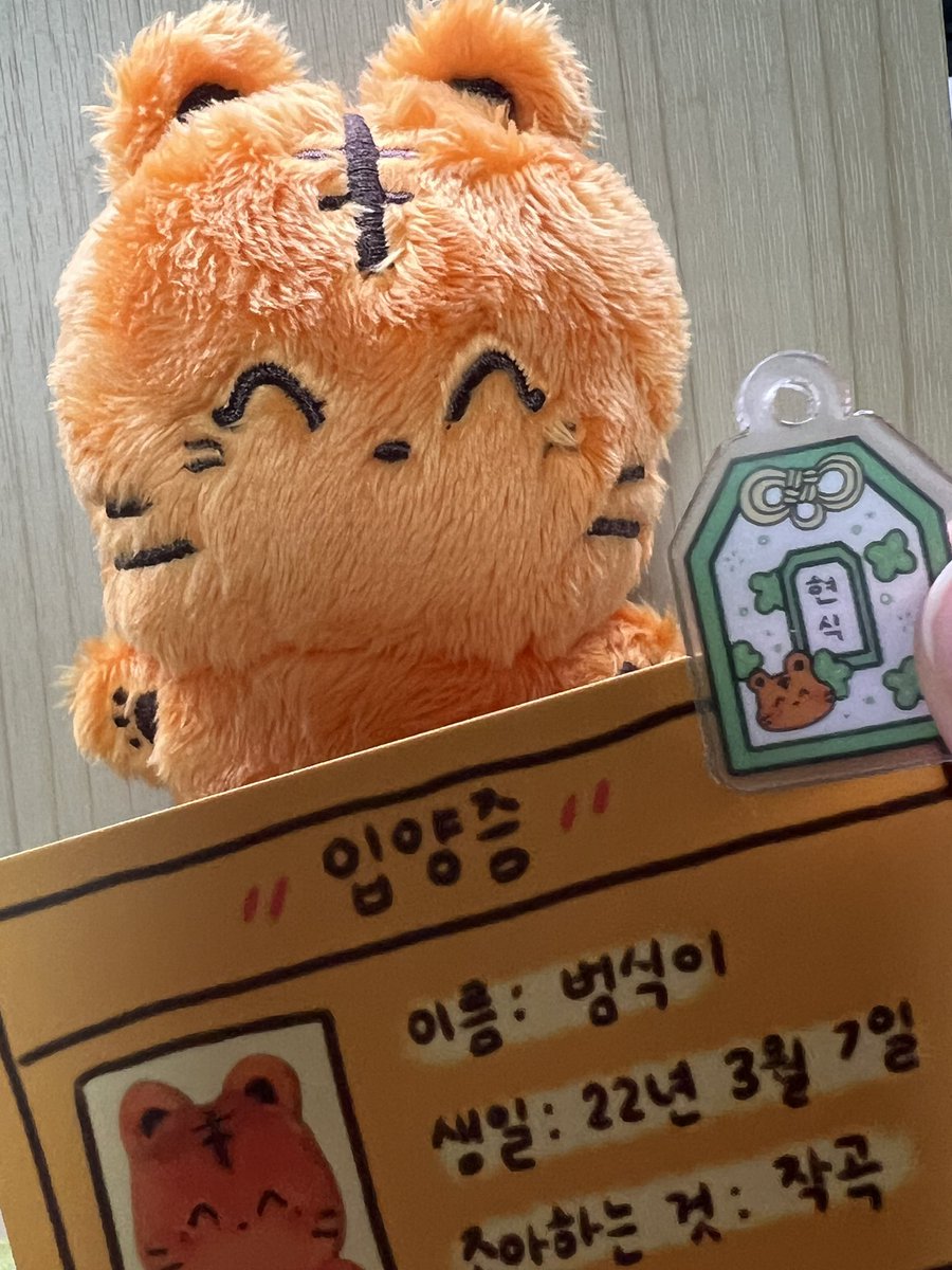 나에게도 드뎌 범식이가 왔다!!!!!🐯🧡