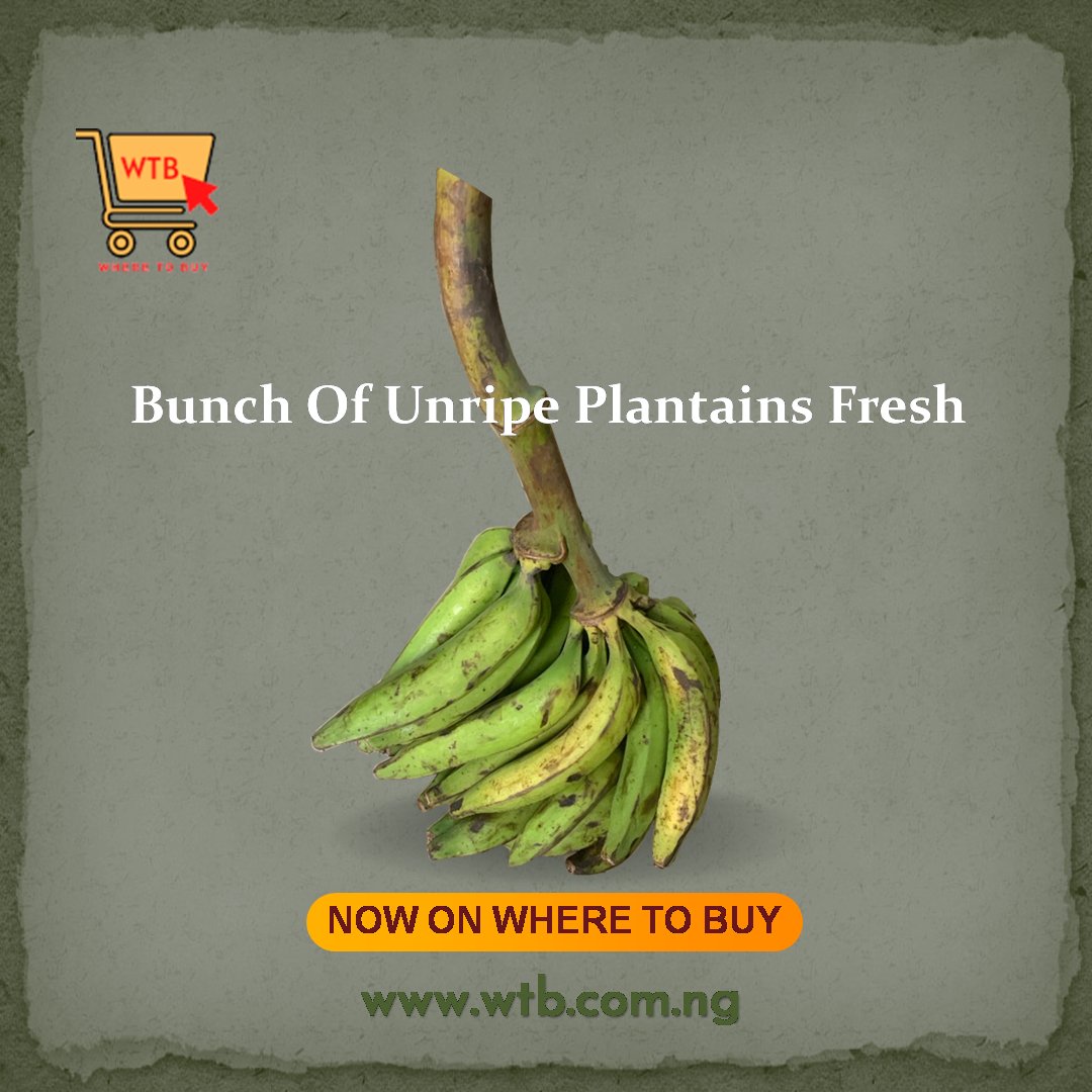 WhereToBuyng's tweet photo. Plantains are good source of potassium, dietary fiber, and vitamins A and C. Unripe plantains can be used to make plantain porridge with spices, as well as plantain chips and poundo plantains.
https://t.co/fk9J89fDdl
Arise News Erisco Terem Moffi Synagogue Mummy Zee Betta Edu https://t.co/YeE0e4TrrI