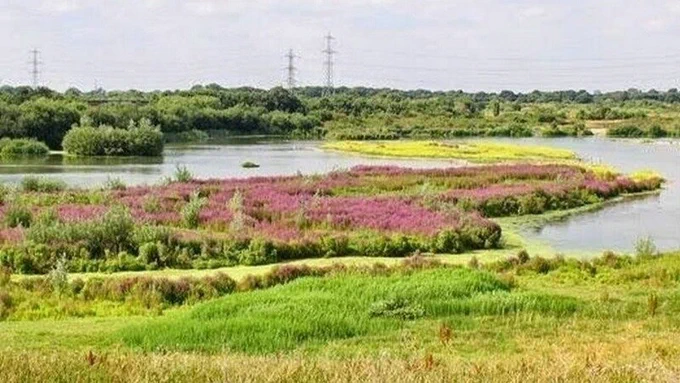 Image from Wandle Valley Forum (@WandleForum)