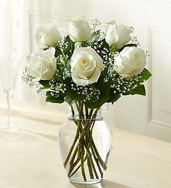 SendFlowerGiftz's tweet photo. Spread love with the timeless elegance of premium white roses! 🌹✨ Whether it's a birthday, anniversary, or just because, this hand-arranged bouquet is the perfect way to show you care. Classic beauty that speaks volumes! 💕 #GiftOfLove #WhiteRoses

https://t.co/CMgDREuuyL https://t.co/QB6IXc4PTL