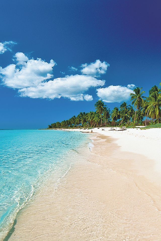 turquesa_711's tweet photo. 🏝️ https://t.co/jMLJbQeQUP
