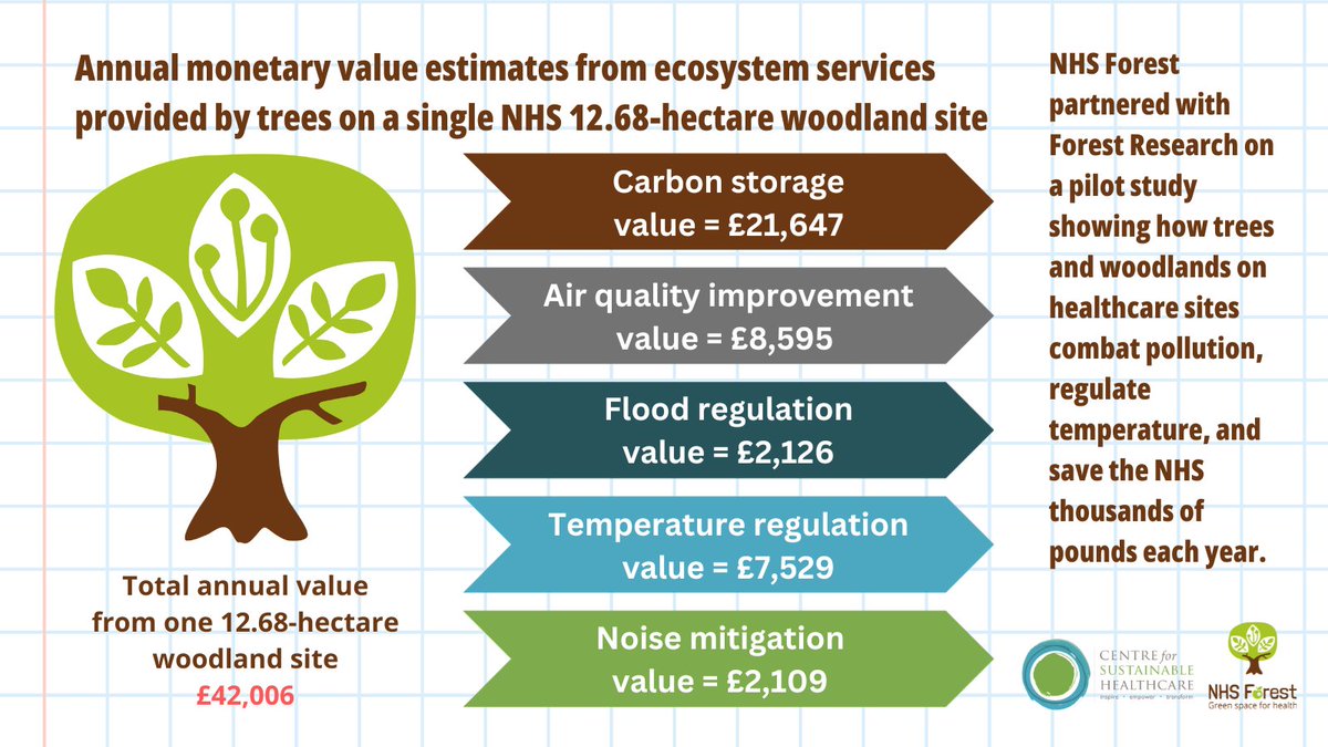 The NHS Trees and Woodland Valuation Pilot Study produced for us by @Forest_Research reveals the astounding value of trees on healthcare sites. Time to see nature as an asset, not just a backdrop.🌳#SustainableHealthcare
nhsforest.org/news/benefits-…
@GreenerNHS @GreenerPractice