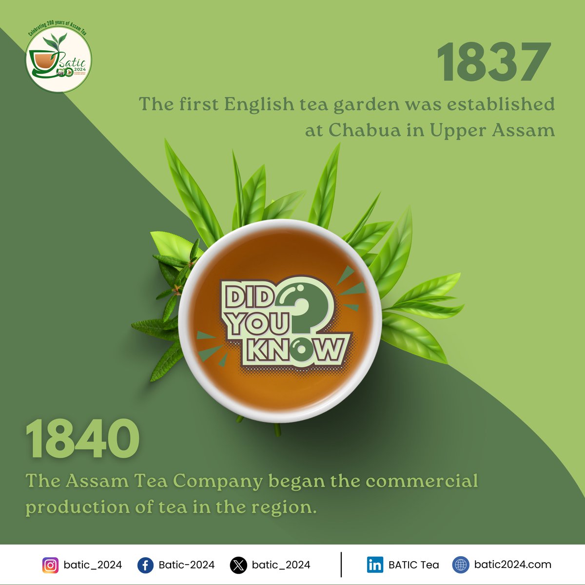 Batic_2024's tweet photo. Did You Know these facts about Assam Tea?

Assam tea are bold, malty, and globally cherished for its unique regional essence.

Let us gather at the tea conference on 29th Jan- 30th Jan to experience the extravagant beverage.
#teaconference

@teaboardofindia @TRATocklai https://t.co/ANHsaYjMUw