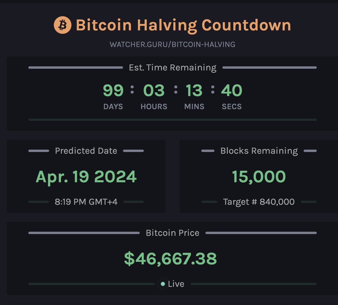 dOWN tHE dEFI rABBIThOLE tweet media