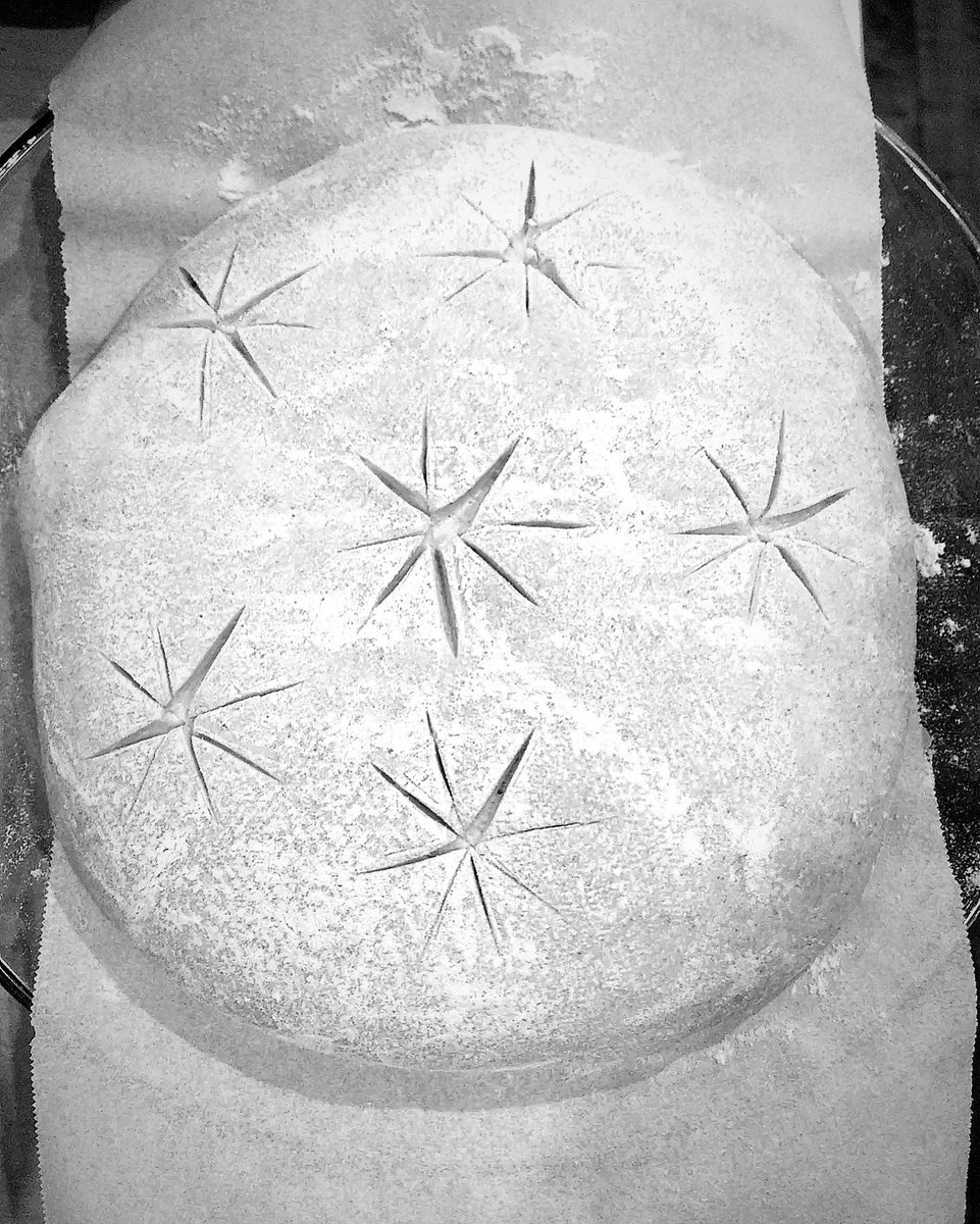 seastarjay's tweet photo. time for a new one ✨ 
brêåd thread 2024 https://t.co/LcxFdazfEo