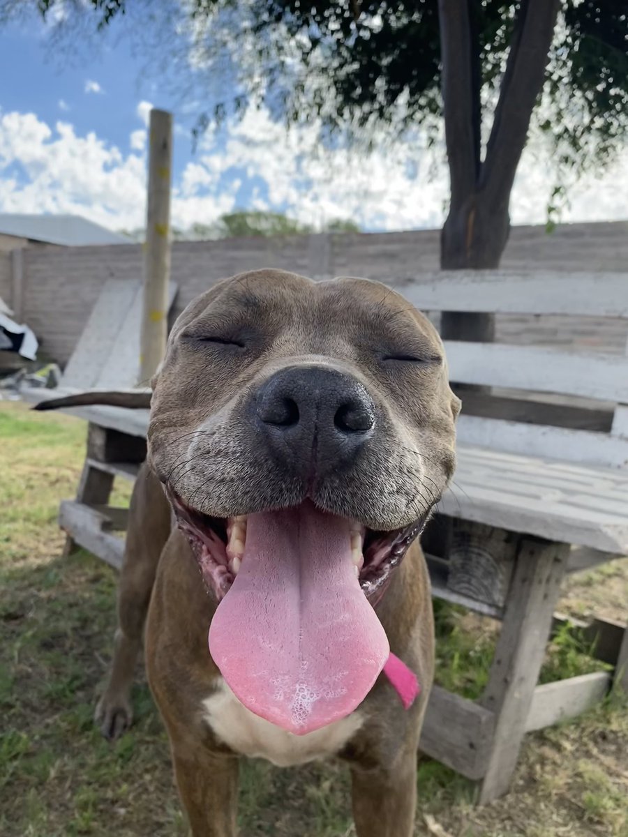 valentingaac's tweet photo. 🥹🥰 https://t.co/RAdlr6Zg2i