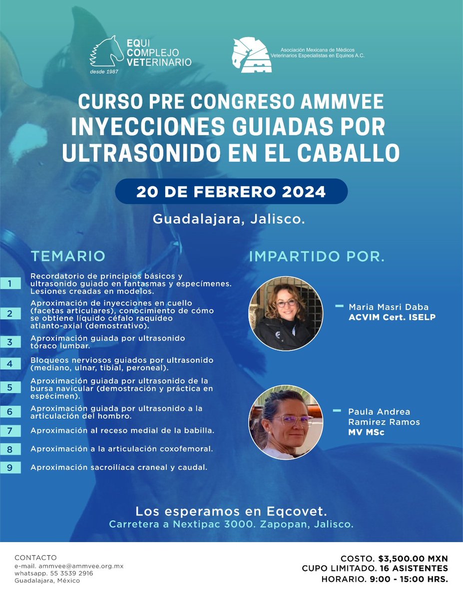 ammvee's tweet photo. Conoce el programa del curso pre congreso de Inyecciones guiadas por ultrasonido en el caballo. Martes 20 de febrero,  las inscripciones estan abiertas. Solo 16 lugares. 
Te esperamos en EQCOVET
 Registro en https://t.co/8vzL6qtr2l o desde nuestra tienda 
https://t.co/qMkgF6PWG2 https://t.co/8HVZSL36EN