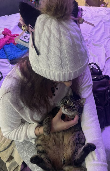 More cats, crazy cat lady era let&rsquo;s go https://t.co/dhGBxi8jID