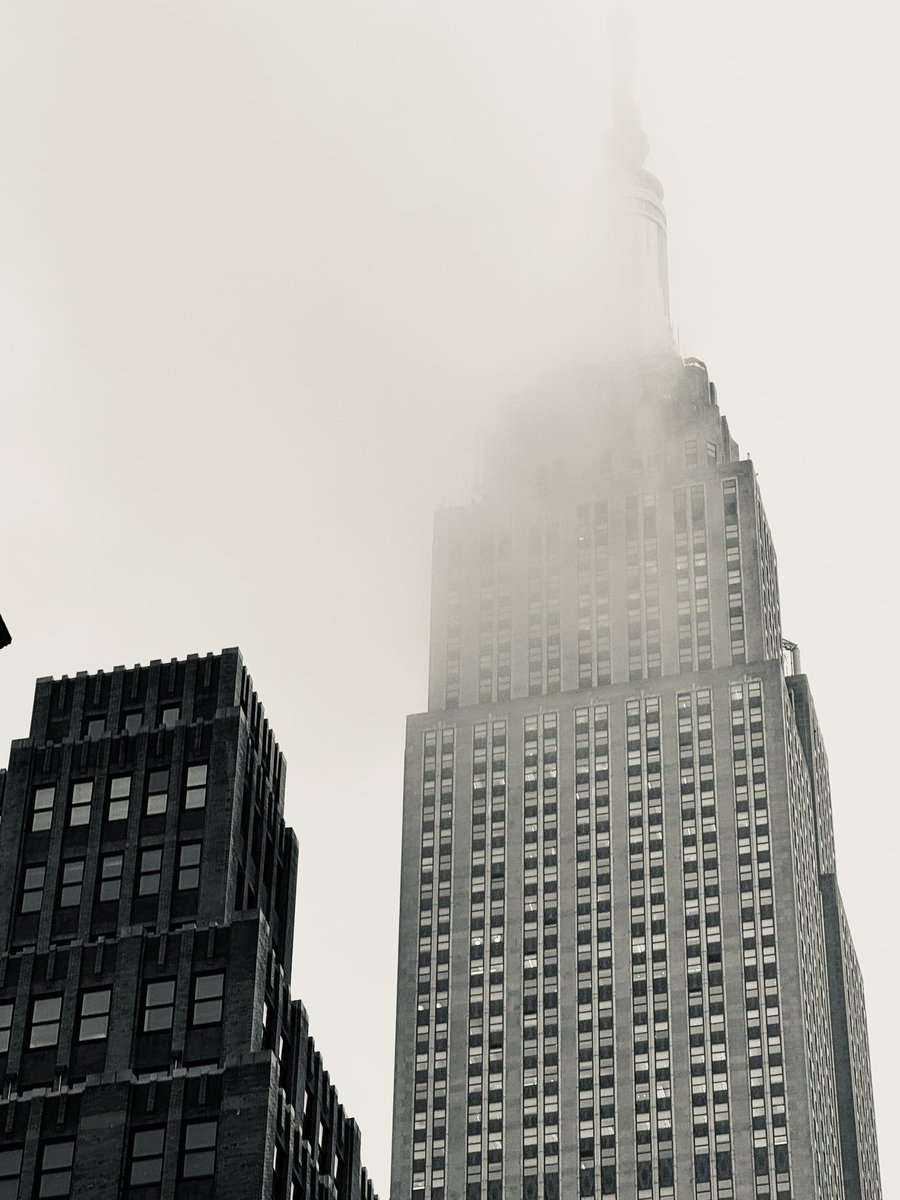 Shweta Mishra tweet media