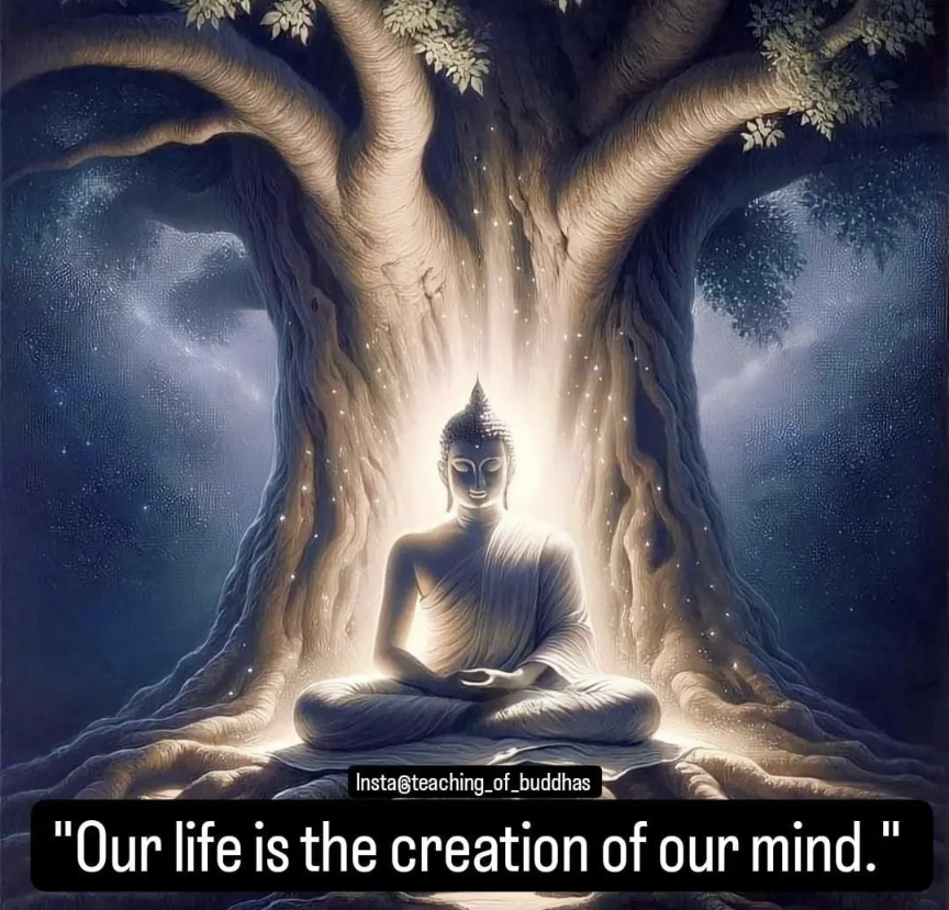 DragonZenReiki's tweet photo. #quotes #MindfulMeditation #usa https://t.co/TnQUpQ0MVy