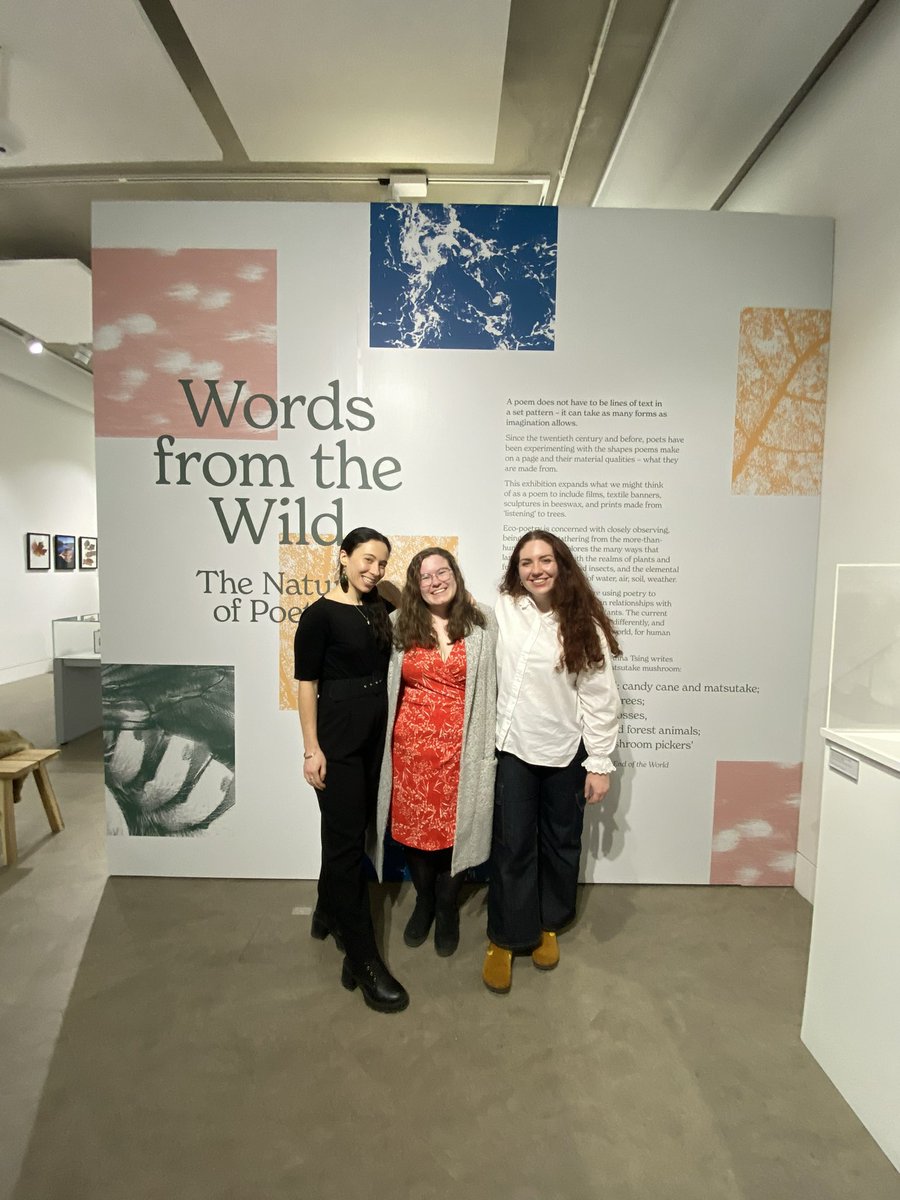 Dr Briony Hellon-Hughes (I'm on Bluesky) tweet media