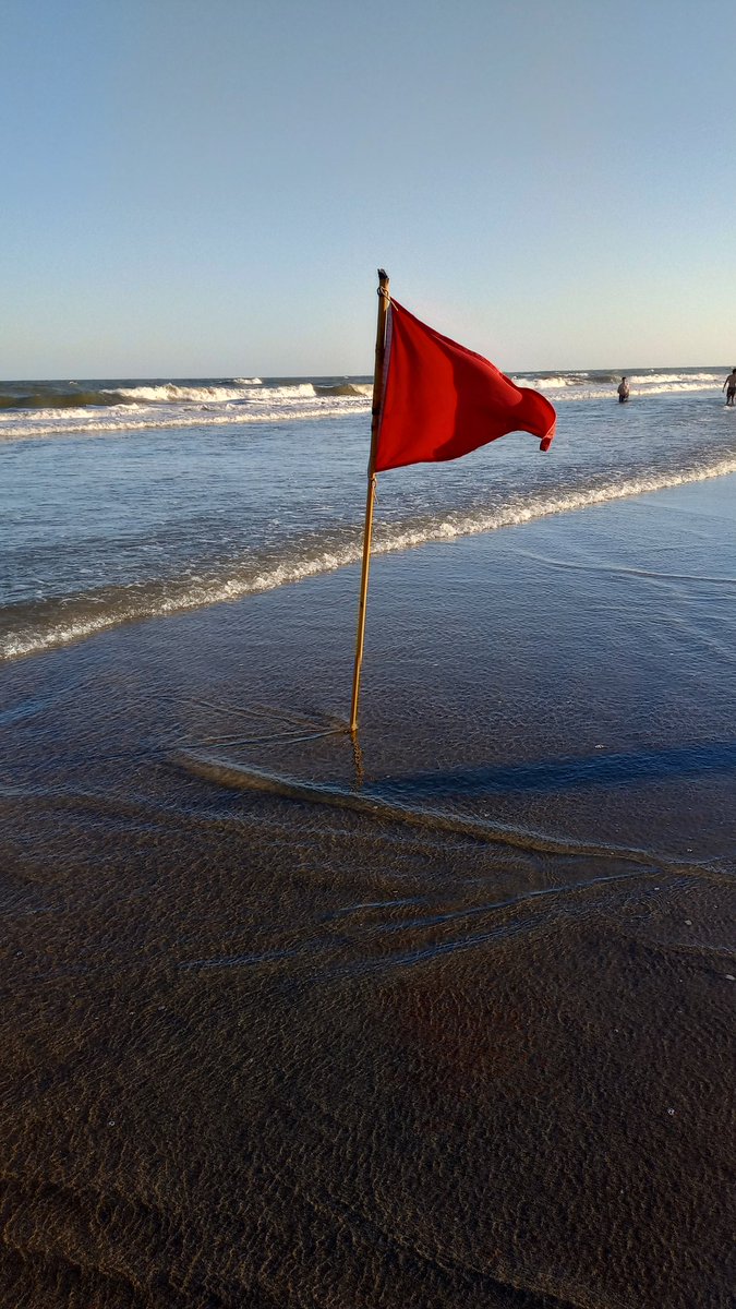 al fin

al fin las veo