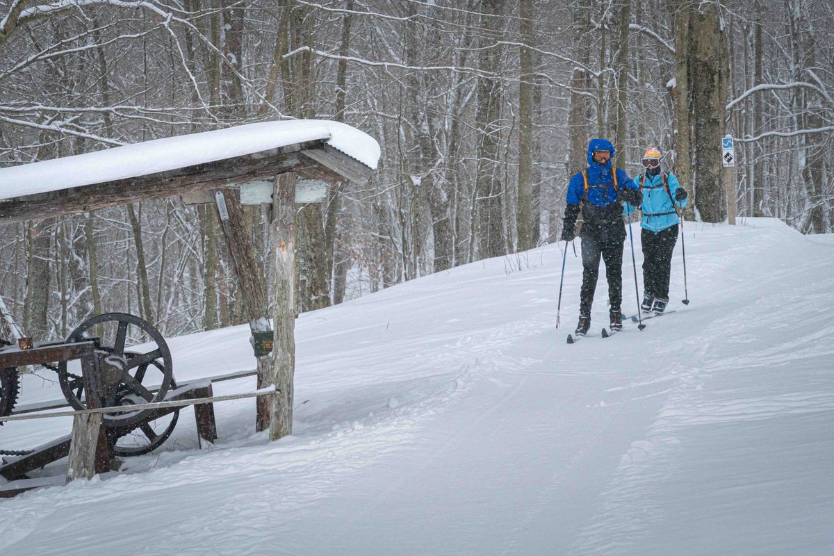 TuckerCounty_WV's tweet photo. If you really love #skiing, you may want to consider taking a sick day in the very near future.
Tomorrow would be best, in our humble opinion. Tons of #snow and more on the way to Canaan Valley!
#skithevalley #gettuckered https://t.co/tg1b2EiSMa