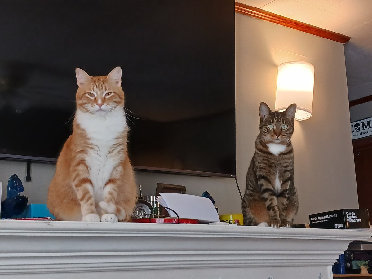 HouseCrazycat's tweet photo. We'z stachewin on da flame box.
Dax Sago https://t.co/5SwDOJMl6h
