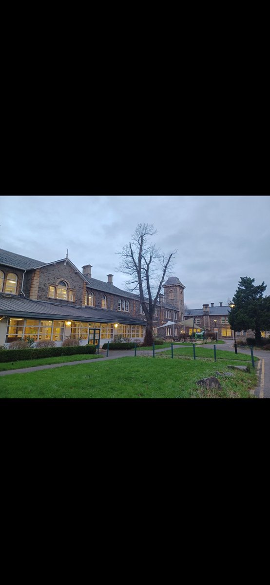 Lisa_Butler tweet media