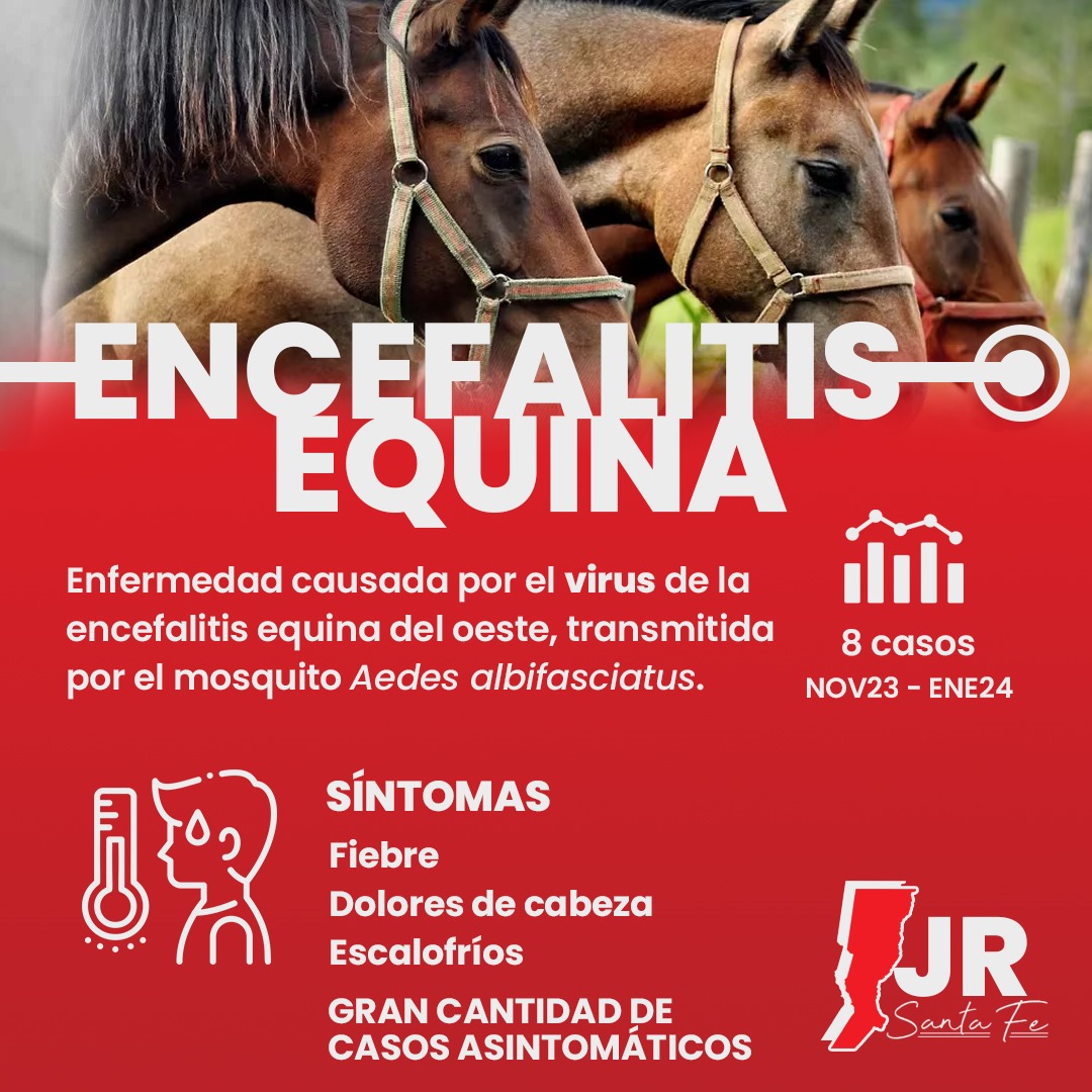 Guillegallo11's tweet photo. 🦟💉 Desde la Secretaría de Salud, Género y Diversidad de la Juventud llevamos a cabo un relevamiento de los datos de casos de dengue, chikungunya y encefalitis equina en la provincia.  (+) https://t.co/pQC3NAbS7R