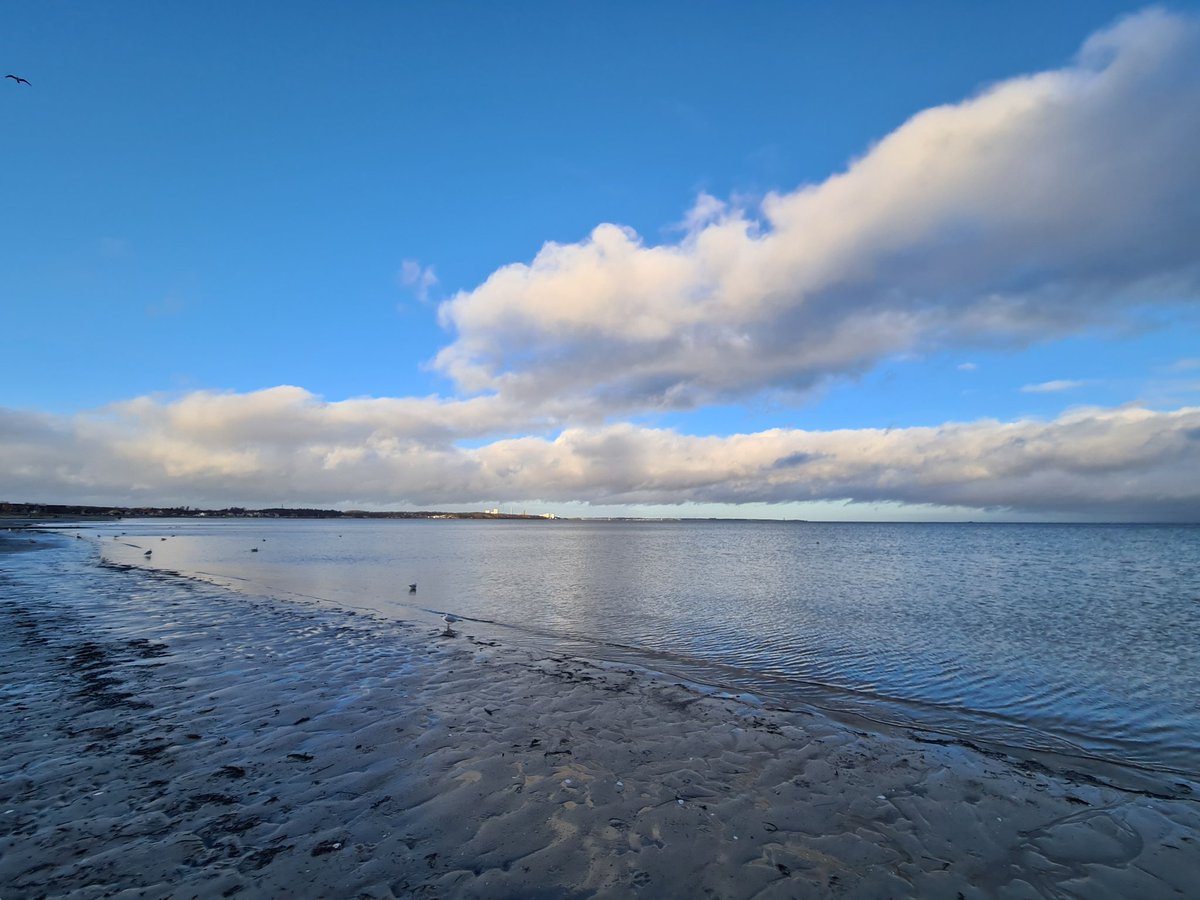 fachheiler's tweet photo. Dieses Licht, das es so nur letzten Samstag in Scharbeutz am Meer gab... #HerrFlausch fand die Aussicht nur mäßig spannend. 😉 https://t.co/Q8TjIGwVDa