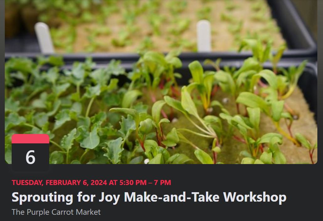 cdcmorrisonmn's tweet image. The #PurpleCarrotMarket is hosting a #sprouting workshop in #LittleFallsMN, for both owners &amp;amp; non-owners. Learn from Erin May, owner of an indoor vertical aeroponic tower business that grows fresh greens year-round.

Sign up by 1/22
fb.me/e/1VS0OItVy

#MorrisonCounty