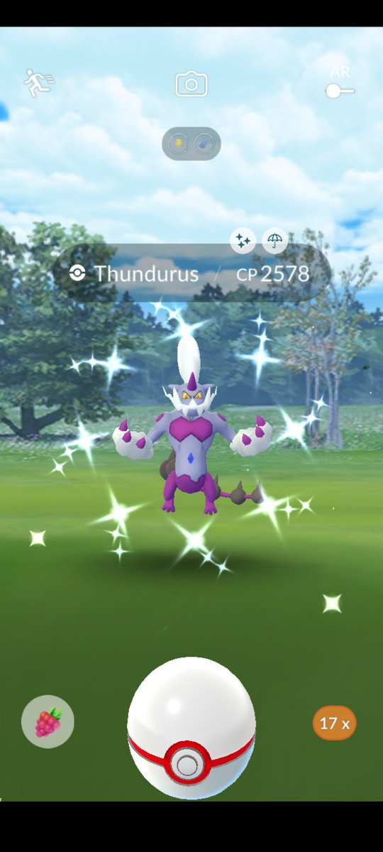 liftingandzombs's tweet photo. Retweet this for Shiny Thundurus Luck! ✨ #PokemonGO https://t.co/jUQc1yngH1