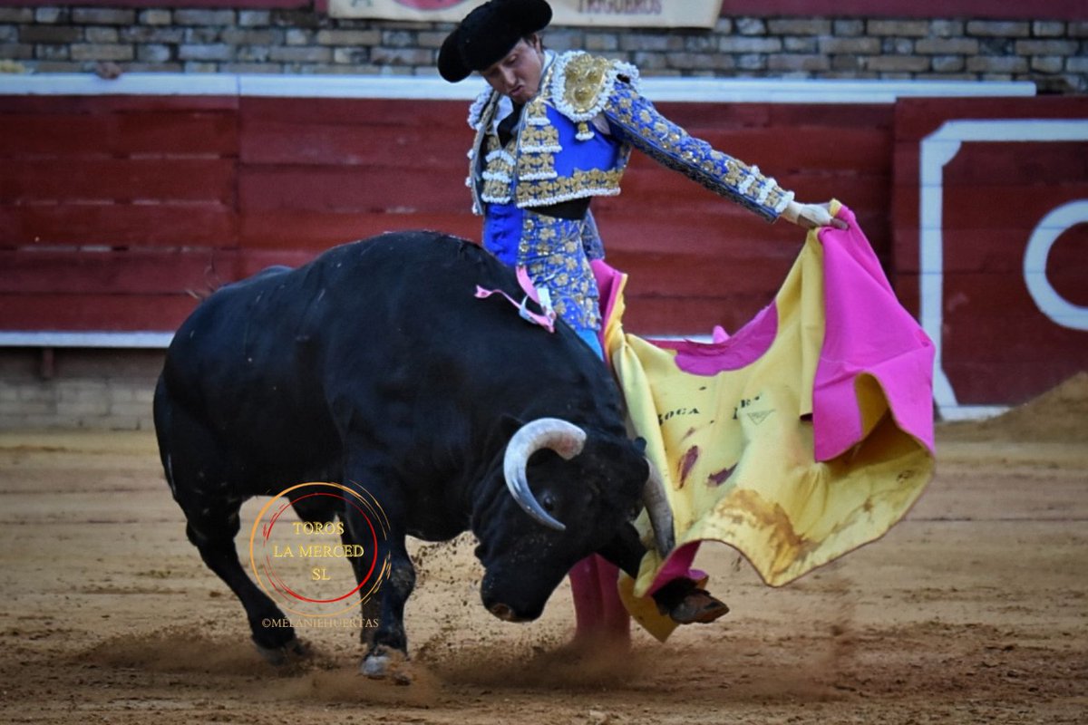 __davidvivas's tweet photo. Hacerlo por la gente que ama la tauromaquia. 
Queremos un mano a mano. https://t.co/AcotSNfX6B