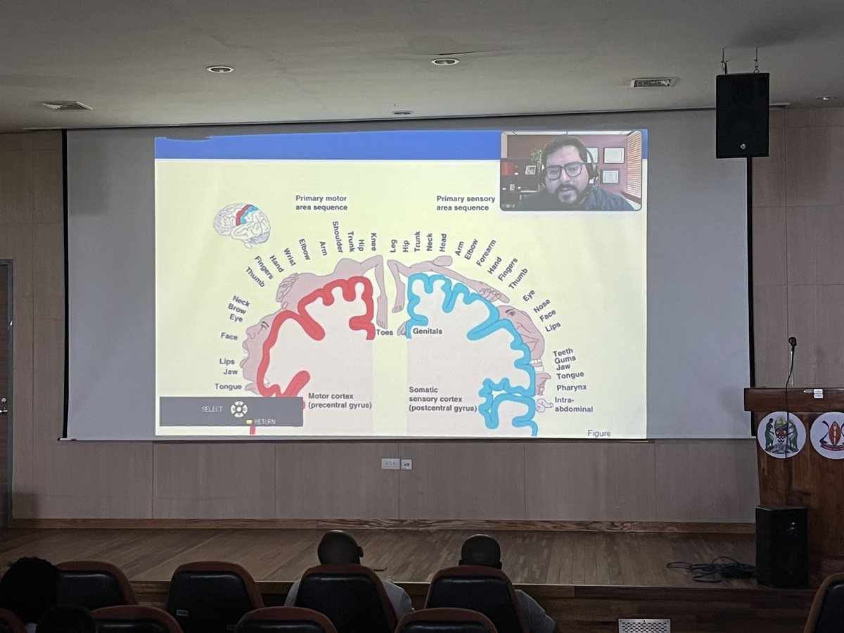 Faddi_Saleh_MD's tweet photo. Thrilled to have taught the introductory lecture of the stroke training program at @mamcmloganzila ๐น๐ฟ Starting w a deep dive into cerebrovascular anatomy & physiology. Excited for this journey advancing stroke care in collaboration w @WorldStrokeOrg #FutureStrokeLeaders #OUNeuro https://t.co/e429BYEXdk