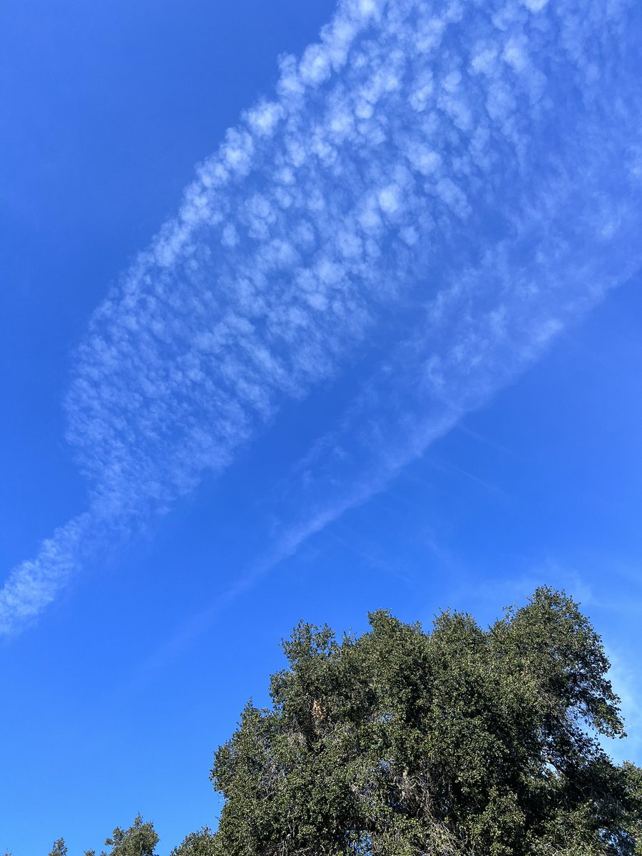 HerbsandDirt's tweet photo. 10 am here in So Cal these were taken. 

It will be completely white; no blue by 2 pm. 💔 https://t.co/B4RUeEV1On