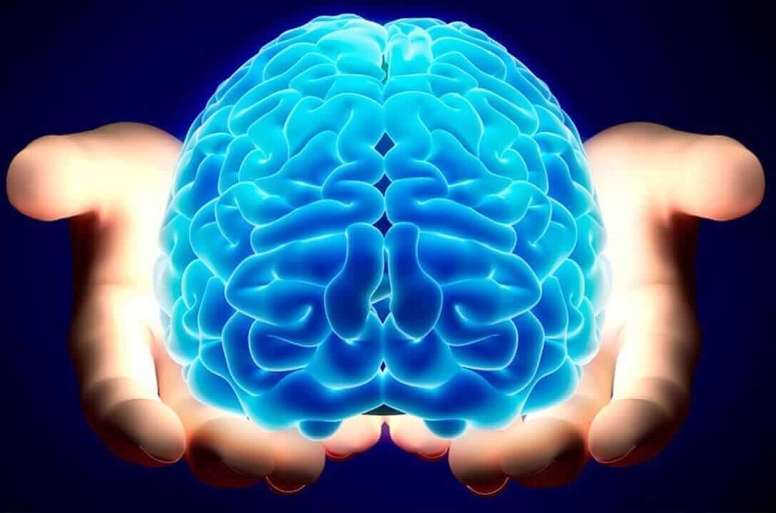 JNeurosurgical's tweet photo. The "STARS" study: advanced preoperative rehearsal and intraoperative navigation in neurosurgical oncology

https://t.co/kch31kCMLv

#JNSS #neurosurgery #edizioni_minerva_medica #surgeon #neurosurgeon #preoperative #intraoperative #reharsal #navigation https://t.co/bqRdbTAMpL