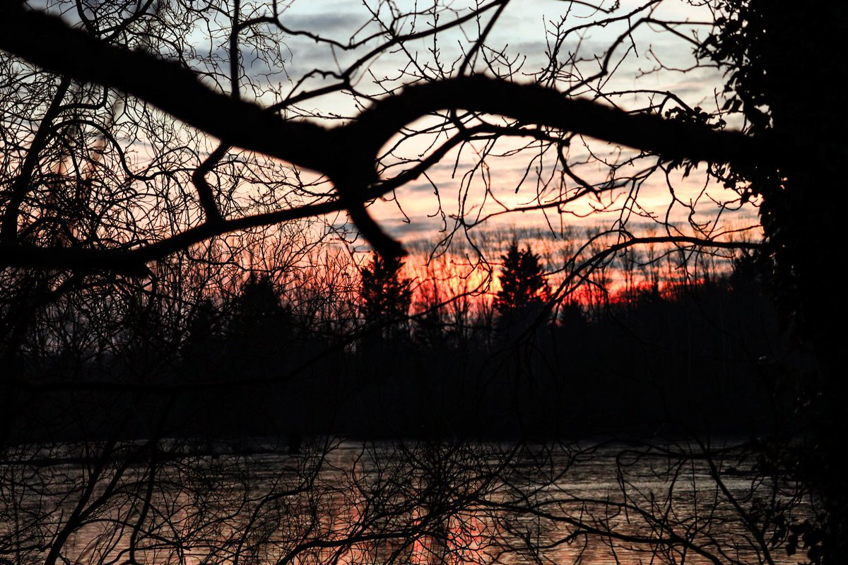 becca_collacott's tweet photo. Radley Lake late this afternoon #sunset #icycold @BBCSouthNews @BBCOxford @bbcweather @itvmeridian @itvnews @itvweather @town_abingdon @RadleyLakes https://t.co/Lu8aAb3WgW