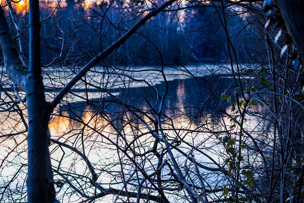 becca_collacott's tweet photo. Radley Lake late this afternoon #sunset #icycold @BBCSouthNews @BBCOxford @bbcweather @itvmeridian @itvnews @itvweather @town_abingdon @RadleyLakes https://t.co/Lu8aAb3WgW