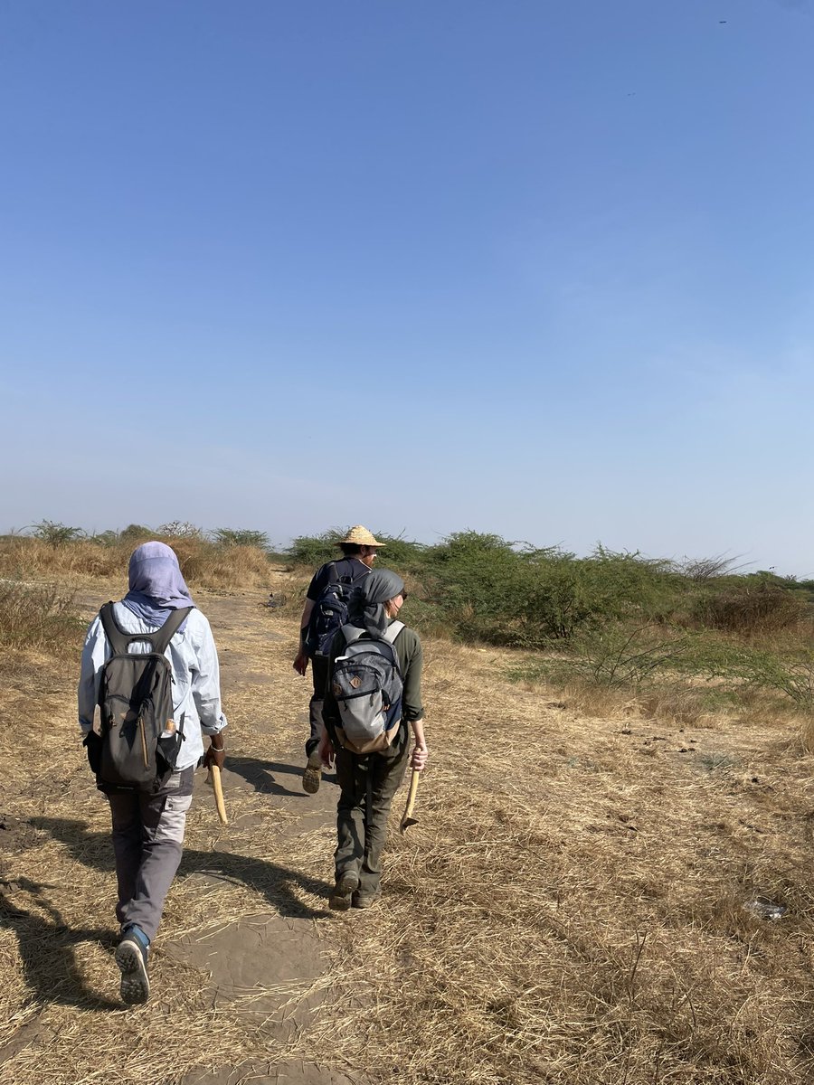 lucytimbrell96's tweet photo. Surveying in Senegal with the @PalaeoSys team! https://t.co/Q57gAYuF0K