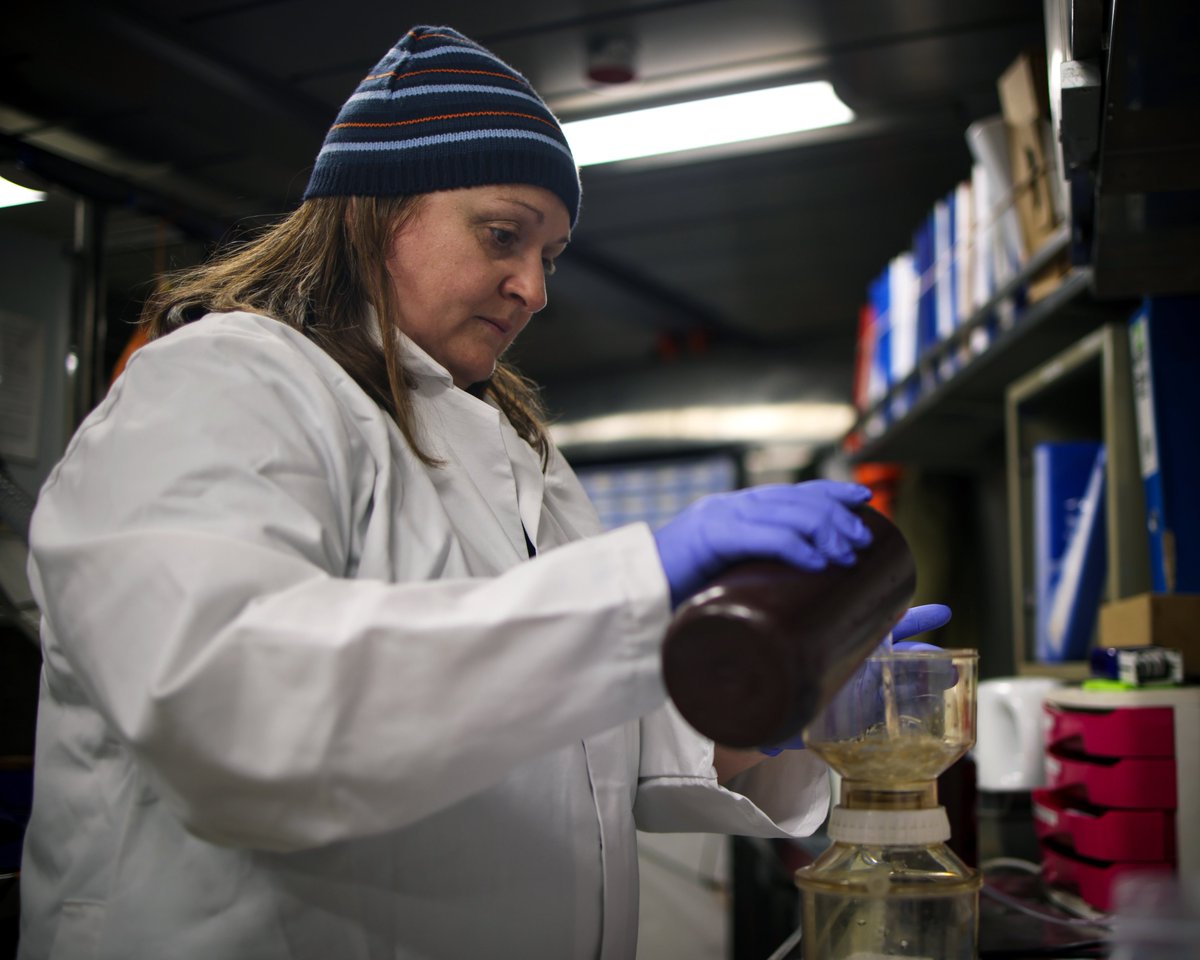 HMS Protector tweet media