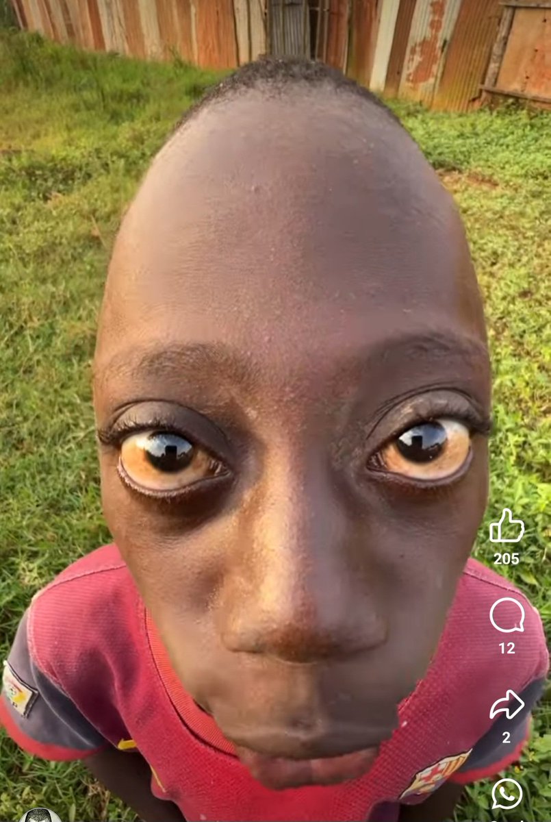 Chiman Atak Chiman (@atakchiman) on Twitter photo 